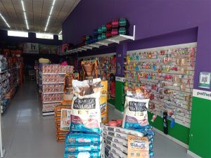 IMG 20251203 104315 300x225