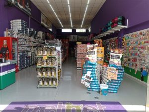 IMG 20251203 104326 300x225