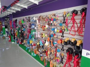 IMG 20251203 104345 300x225