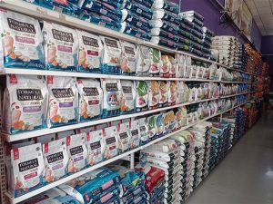 IMG 20251203 104411 300x225