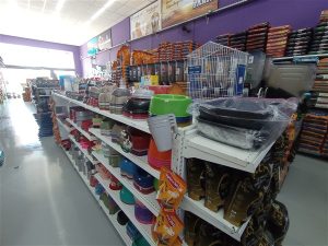 IMG 20251203 104604 300x225