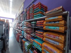 IMG 20251203 104621 300x225