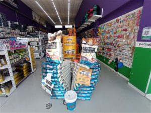 IMG 20251203 104718 300x225