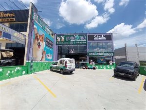 IMG 20251203 104757 300x225