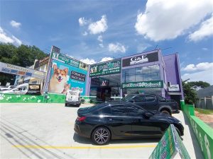 IMG 20251203 104813 300x225