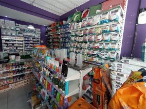 IMG 20251203 105520 300x225