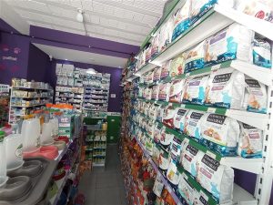 IMG 20251203 105530 300x225