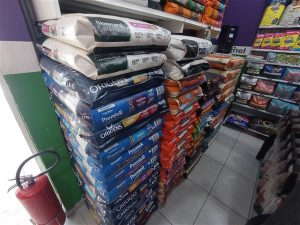 IMG 20251203 105616 300x225