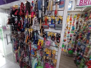 IMG 20251203 105646 300x225