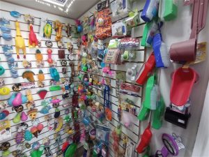 IMG 20251203 105700 300x225