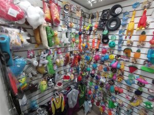 IMG 20251203 105705 300x225