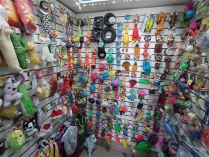 IMG 20251203 105708 300x225