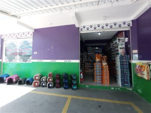 IMG 20251203 105756 300x225